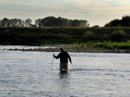 Maaskentj-Marathon 2012